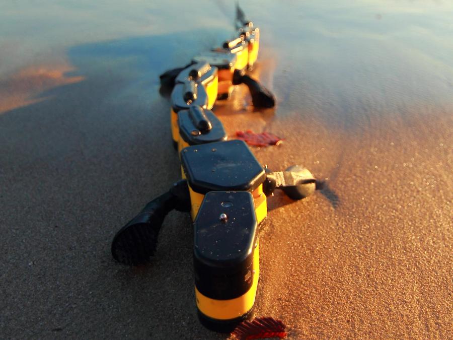 The robot is approaching the camera while walking on wet sand.