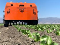 Your Next Salad Could Be Grown by a Robot