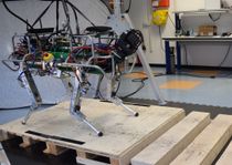 HyQ Steps Across Gaps Despite Getting Yanked Around