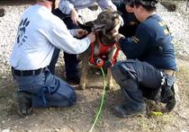 Search and Rescue Dog Deploys Robot Snake via Bark Control
