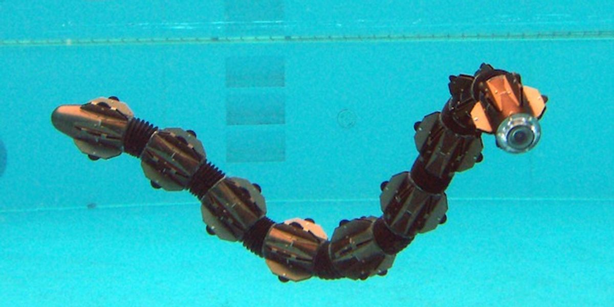 HiBot Demos New Amphibious Snake Robot