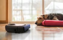 Neato Robot Vacuum Update Shows Why Persistent Mapping Is So Useful