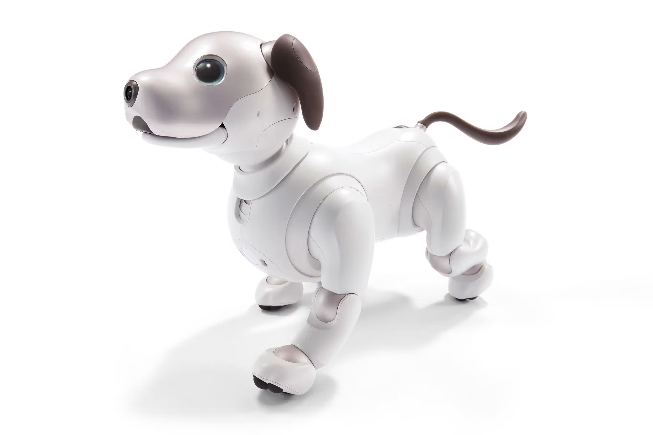 White robotic dog with friendly appearance